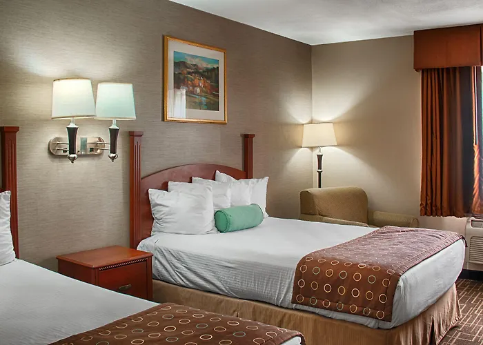 Hotel Western Airport 3*